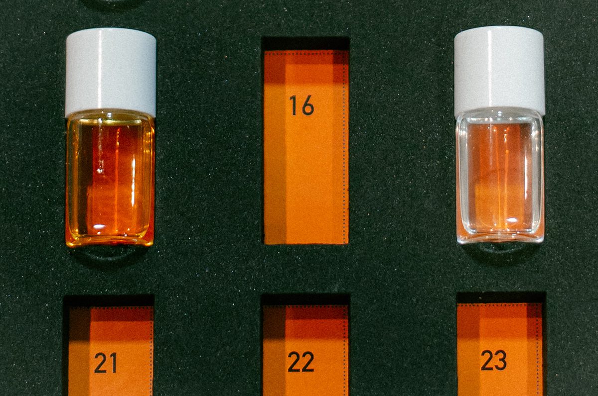 degustation-vin-decouverte