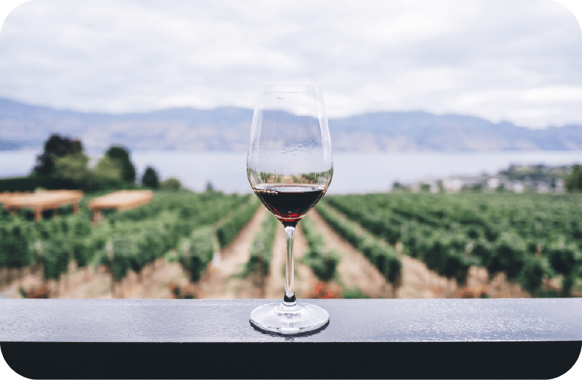 degustation-regionale-vin